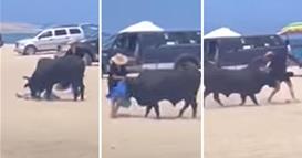 Побеснет бик фрла жена како да е кукла- ја молеле да не му приоѓа, не ги послушала (ВИДЕО)