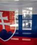 Правда: Словаците ги ценат придобивките од ЕУ, но не се грижат за европските избори и за Брисел