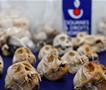 Цариници на аеродром во Париз заплениле стотици мајмунски черепи