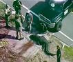Ужас на Флорида: Алигатор влече безживотно тело на маж по улица (Вознемирувачко видео) 