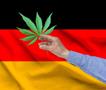 Германија ја легализира марихуаната, сепак ќе има и ограничувања 