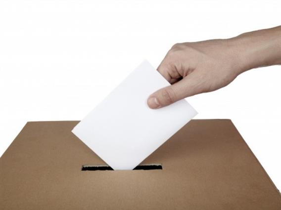 Гласаат членовите на ИО кои заминуваат во странство за претседателските избори во дијаспората