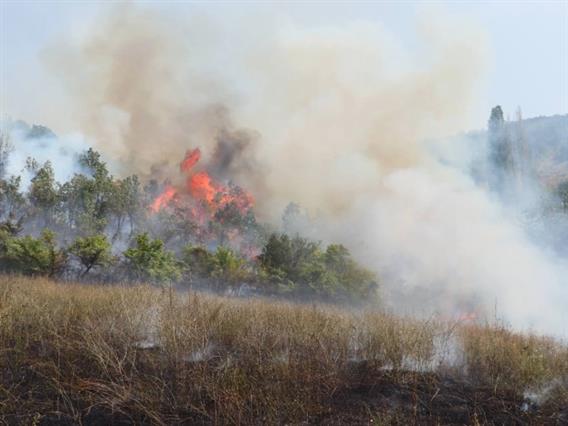 Активен пожарот кај прилепско Алинци, вчера изгаснати 25