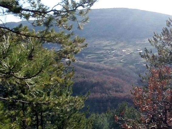 ЦУК: Пронајдено повозрасно лице изгубено на планината Плачковица